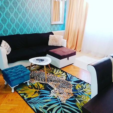 Marina Jacuzzi Apartment Free Parking Novi Sad Bagian luar foto