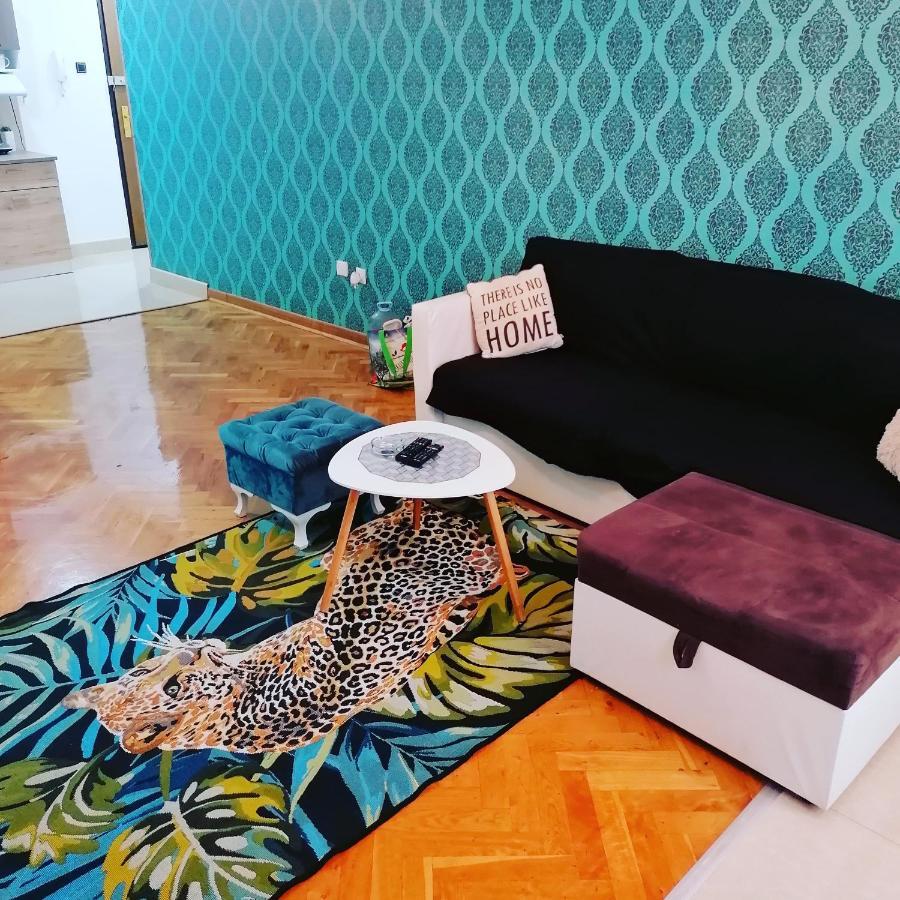 Marina Jacuzzi Apartment Free Parking Novi Sad Bagian luar foto