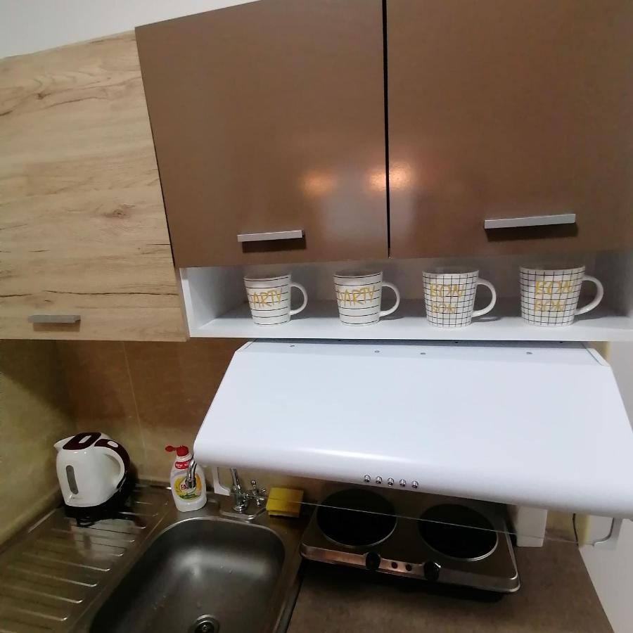 Marina Jacuzzi Apartment Free Parking Novi Sad Bagian luar foto